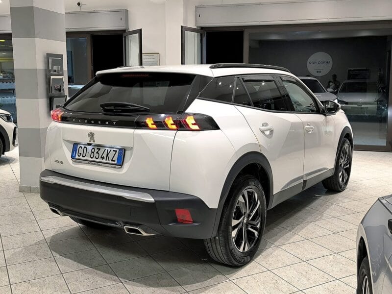 Peugeot 2008 1135 12