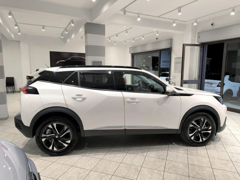 Peugeot 2008 1135 13