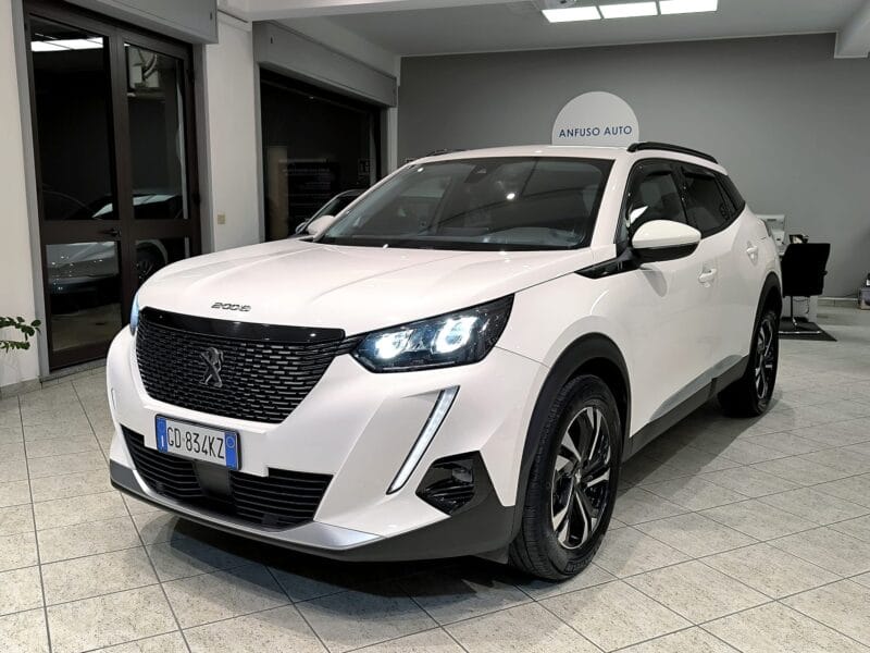Peugeot 2008 1135 18